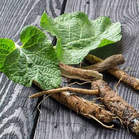 Ancient Full Body Cleanse