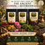 The Ancient Cleansing & Restoration Bundle